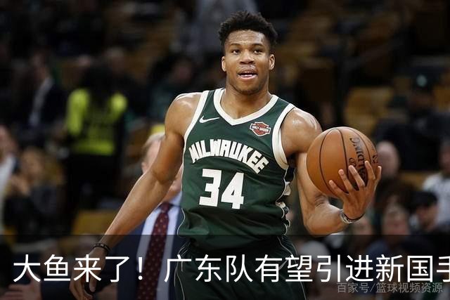 大鱼来了！广东队有望引进新国手后卫，这可是“加强版徐杰”！